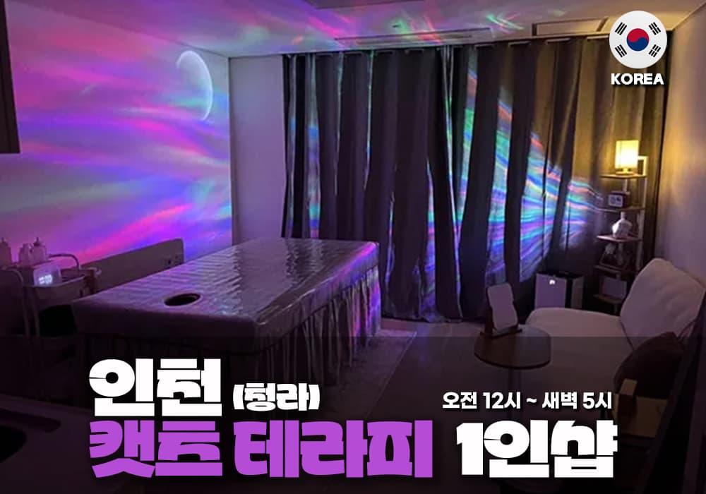 인천 청라 캣츠테라피
